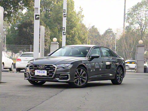 2025�� 45 TFSI ��ѡ������