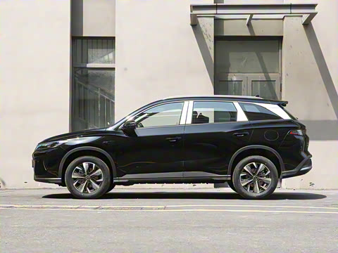 2025�� DM-i �Ǽݰ� 75KM������