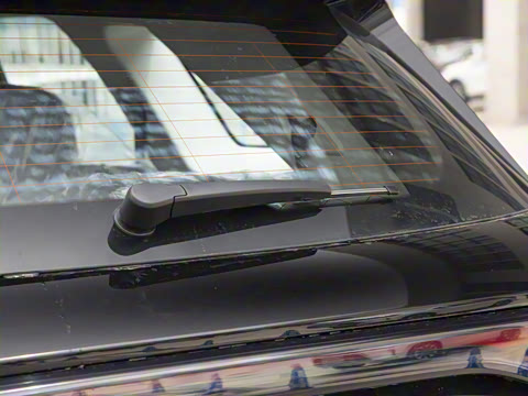 2025�� 120 �������������� 7�� �������