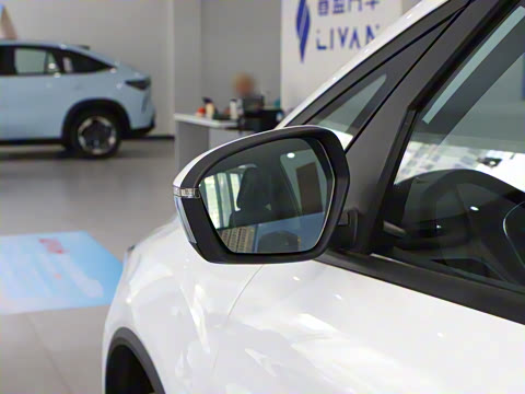 2025�� �������캽��