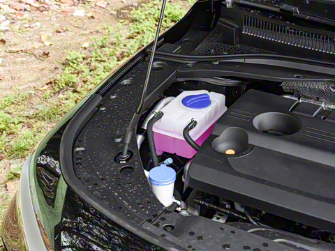 2025�� 1.6T DCT��