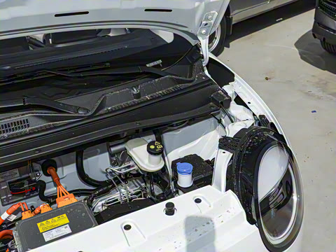 2025�� 301km �ȱ���