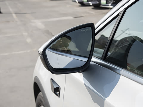 2025�� �Ǽݰ� DM-i 115KM �콢��