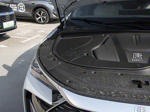 2025�� �Ǽݰ� DM-i 115KM �콢��