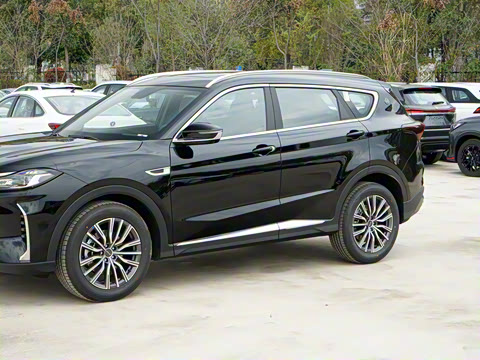 2024�� �ھ��� 1.5T DCT�ھ�MAX 5��