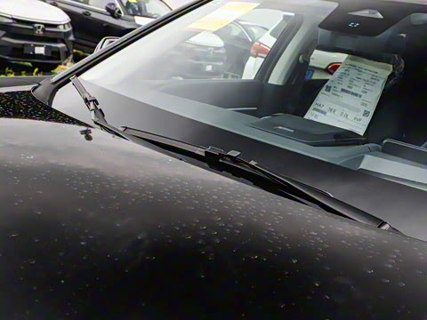 2025�� ����������Pro