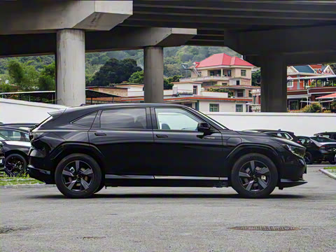 2025�� ����������Pro