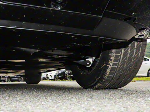 2025�� ����������Pro