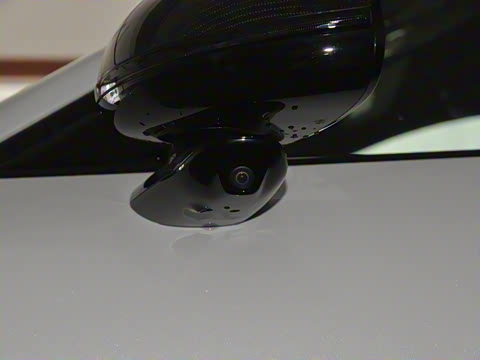 2025�� ������������������Max��