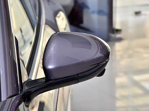 2024�� 555������