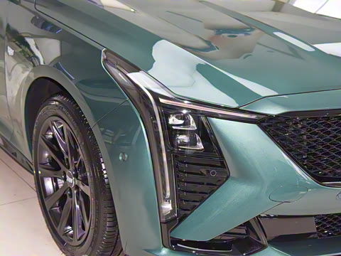 2025�� 28T �������ܰ�