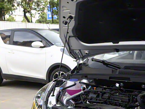 2024�� ����� 1.5L �ֶ�������