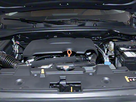 2025�� 2.0T�Զ�������Ӣ�� ����