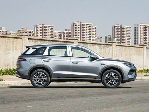 2025�� �ڶ��� �Ǽݰ� DM-i 115KM��Խ��