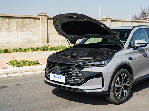 2025�� �Ǽݰ� DM-i 115KM ������