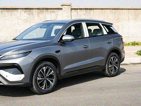 2025�� �ڶ��� �Ǽݰ� DM-i 115KM��Խ��