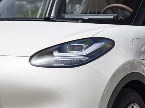 2025�� 333km ������