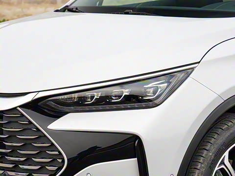 2025�� �Ǽݰ� DM-i 115KM ������