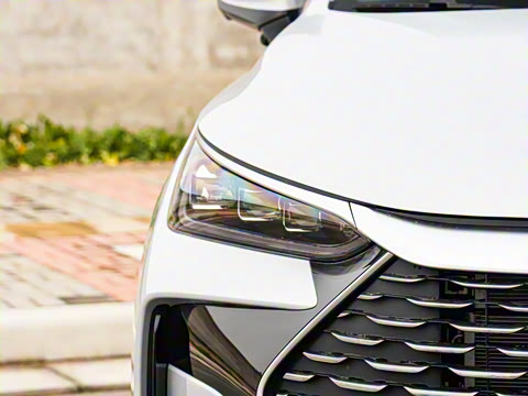 2025�� �Ǽݰ� DM-i 115KM ������