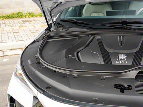 2025�� �Ǽݰ� DM-i 115KM ������