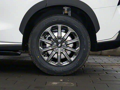 2025�� 1.5T ɽ�������� 7��