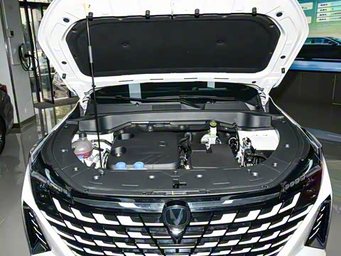 2025�� �ǻ������� 125km ս����