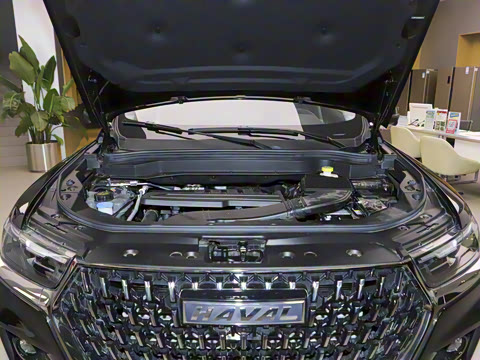 2023�� ������ 1.5T �Զ��ھ���