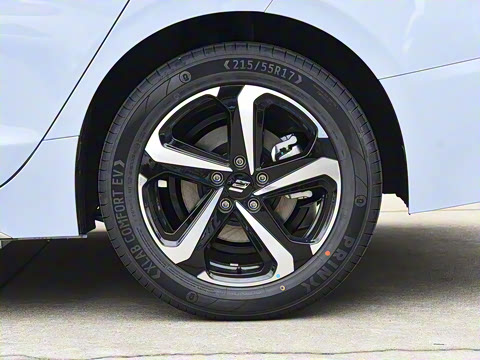 2025�� ���05 ������