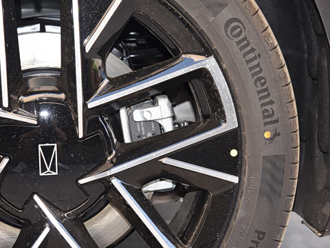 2025�� Pro�����