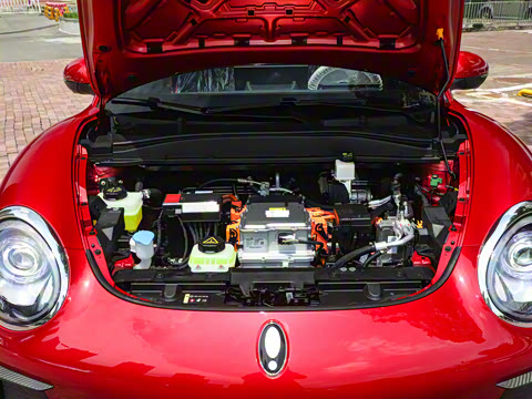 2025�� ľ���� 430km ������