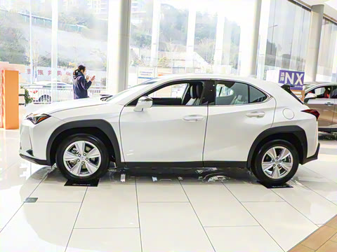 2024�� 300h ̽���