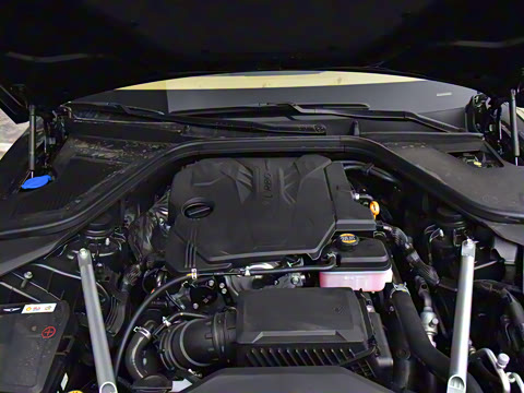 2024�� 2.5T ����������