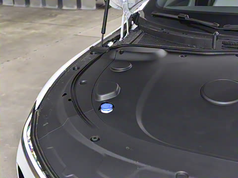 2025�� ��������� 525������