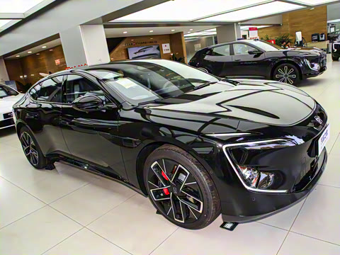 2025�� Max�����