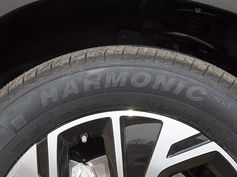 2025�� �ڶ��� �Ǽݰ� DM-i 75KM������