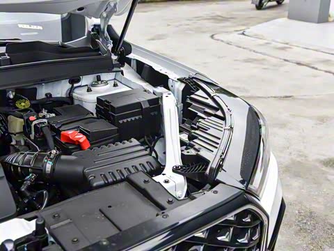 2025�� 290TGDI DCT�˷�� 7��