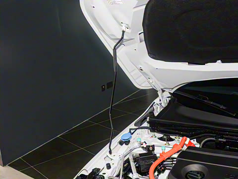 2025�� 2.0L e:HEV �춯Pro