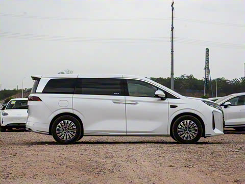 2025�� DM-i 1.5T 100km �캽��