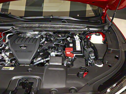 2025�� 300 ����������