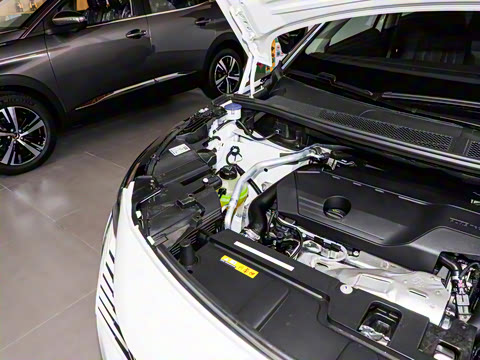 2025�� �콢��