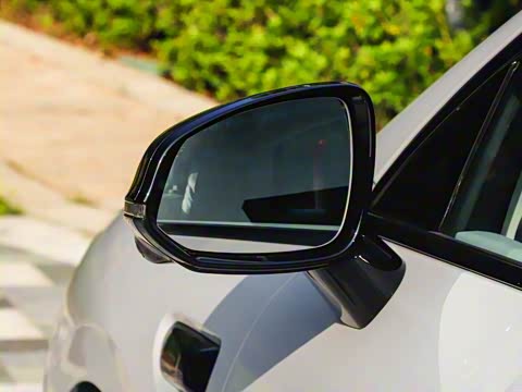 2025�� 650������