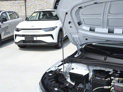 2025�� 550������