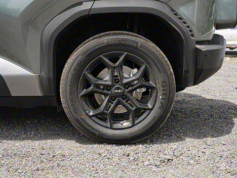 2025�� 501KM ����Max��