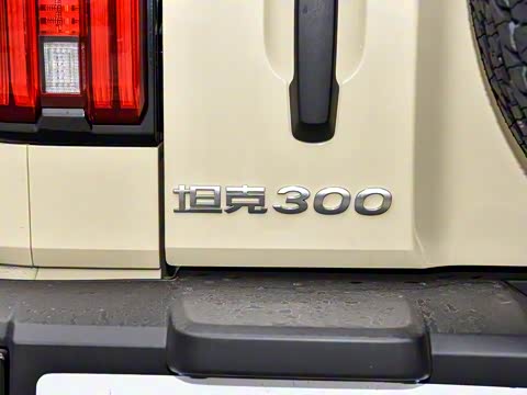 2025�� 2.0T ������