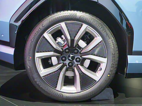 2025�� ����������Max