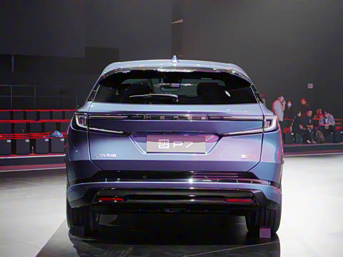 2025�� ����������Max