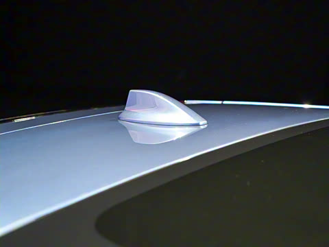 2025�� ����������Max