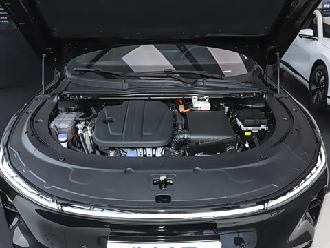 2025�� �������̰� 230�콢��