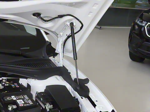 2025�� TSI330 DSG������