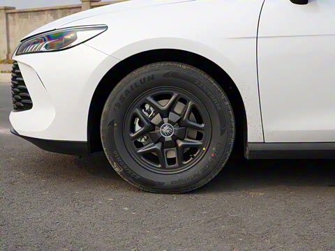 2025�� DM-i �Ǽݰ� 55KM������